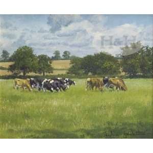 Summer Pasture by Stephen Hawkins 