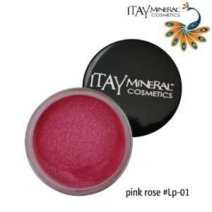  ITAY Beauty Mineral Cosmetics Nourishing Color Lip Pot 