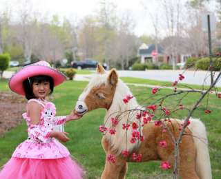 Boutique cowgirl Tutu dress princess birthday pageant halloween dress 