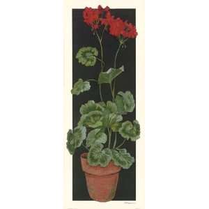  Geranium II by Judy Phipps 8x20