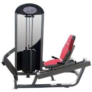   Fitness QPS 6593 15 Degree Leg Press/Calf Raise