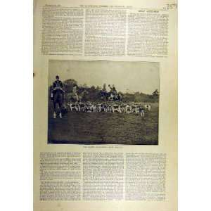   1894 QueenS Stag Hounds Hunting Kennels Sport Print