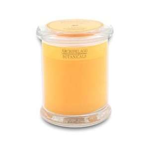  Lanai Ginger, Pineapple, Mandarin Archipelago Glass Jar 