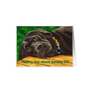  Funny Birthday ~ 31 Years Old ~ Labrador Dog Card Toys 