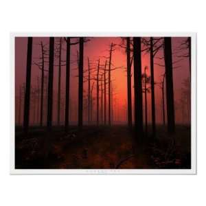  Sunset Fog Posters