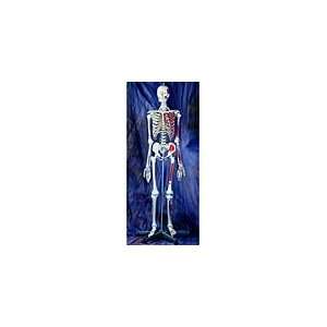 Life Size Human Skeleton Models & Accessories  Industrial 