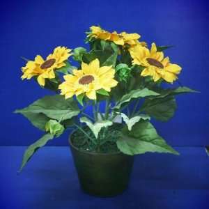  13 inch High Sunflower w Pot
