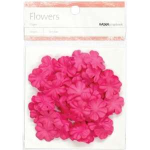  Paper Flowers .79 (2Cm) 50/Pkg   Hot Pink Arts, Crafts & Sewing