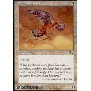  Suntail Hawk (Magic the Gathering   Judgment   Suntail Hawk 