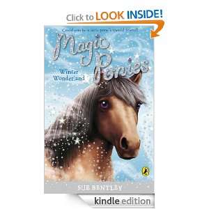 Magic Ponies Winter Wonderland Winter Wonderland Sue Bentley 
