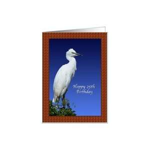  25th Birthday Card with Immature Cattle Egret Card Toys & Games