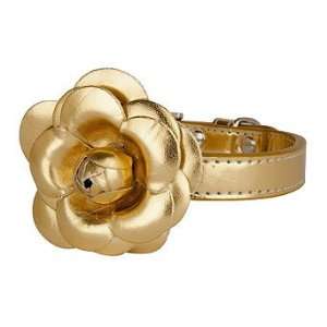  Flower Pet Collar   Frontgate