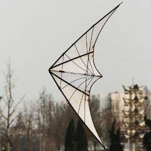   Dual line Trick Stunt Kite 7.9 Feet/2.4 Meter   White Spider Sports