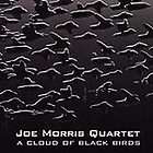 Cloud of Black Birds by Joe (Guitar) Morris (CD, Dec 1998, AUM 