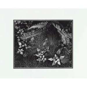  Ansel Adams   Leaves, Mills College LG Matted