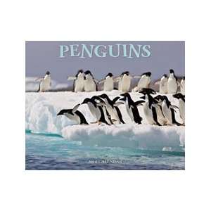  2010 Penguins Wall Calendar