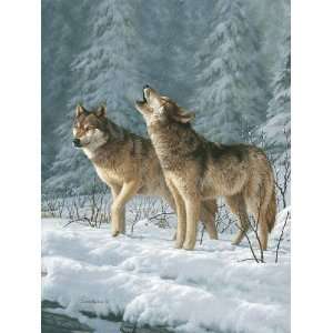  Hautman Brothers Raschel Throw Blanket Wolf Theme 