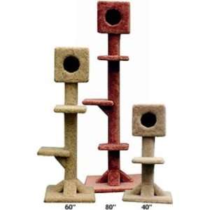   Single Cube Cat Tree  Color BURGUNDY  Size 80 INCH