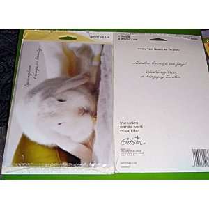  White Bunny Easter Value Pack by American Greetings 