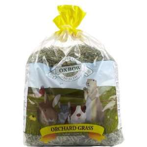  Oxbow Orchard Grass Hay   40 oz
