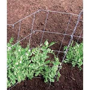  Pea And Cucumber Fence 2/Pack