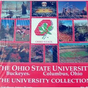  The University Collection 500pc. Puzzle Ohio State Toys & Games