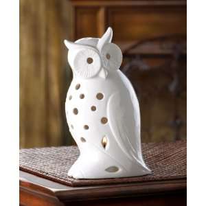  Wise Owl Candle Holder