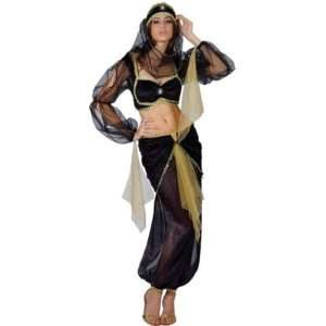  Arabian Belly Dancer 4pc Fancy Dress Costume US Size 8 10 