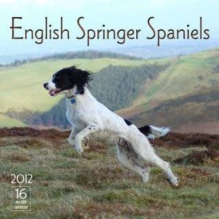 29. 2012 English Springer Spaniels Wall calendar by Moseley Road 