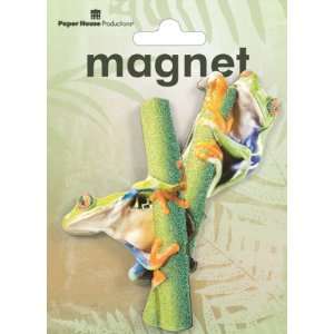    Paper House 3D Magnets 1/Pkg   Red Eyed Tree Frog 
