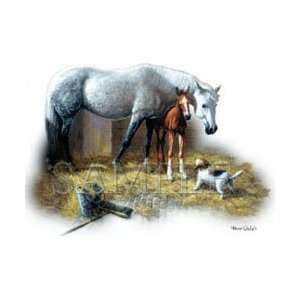  T shirts Animals Wildlife Mare & Foal in Stable Xl 