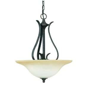  Rustic / Country Three Light Bowl Pendant from the Pr