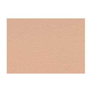   Suede Paper 10 Pack 19x27   Outback Blush Arts, Crafts & Sewing