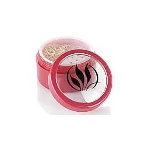   Loose Mineral Blush (Color is Touch of Pink) 