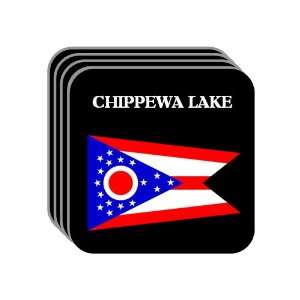  US State Flag   CHIPPEWA LAKE, Ohio (OH) Set of 4 Mini 