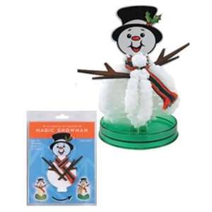  DCI Do It Yourself Magic Growing Snowman