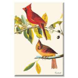 John James Audubon Cardinal Canvas Art  