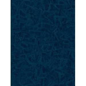  Wallpaper Steves Color Collection Blue BC1581603