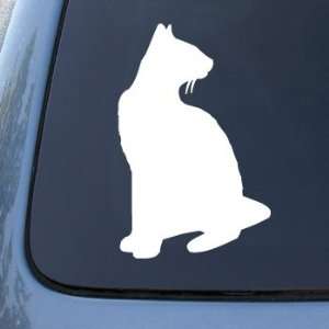  SIAMESE   Cat   Vinyl Car Decal Sticker #1558  Vinyl 