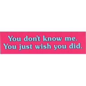  YOU DONT KNOW ME. YOU JUST WISH YOU DID. decal bumper 