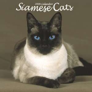 Siamese Cats 2006 Calendar 9780763188108  Books