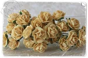MAGNOLIA RUBBER STAMP DRIED FLOWERS SMALL YELLOW ROSES  
