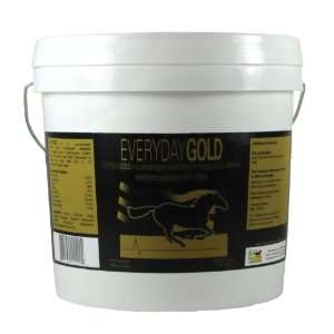  Everyday Gold Electrolyte 22 Pounds Health & Personal 