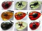 Lots 8pcs Real Mixed Insect Scorpion&spider Vogue Design Mix Pendant 