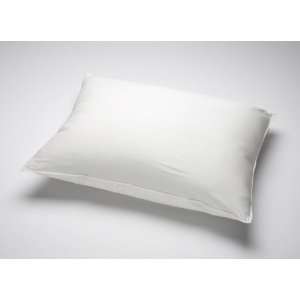  Pillow Covers   Pillow Covers   Frostlite Zippered Pillow Cover 