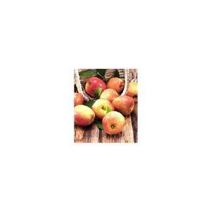 Organic Apples Grocery & Gourmet Food