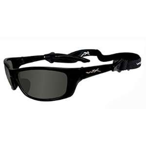 Wiley X Sun Glasses Wiley X P 17 Sun Glasses With Polarized Smoke 