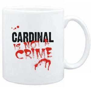    Being a  Cardinal is not a crime  Animals
