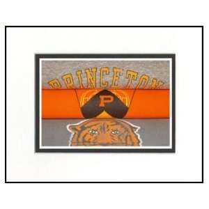  Princeton Tigers Vintage T Shirt Sports Art Sports 