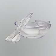 Sandra by Sandra Lee Clear Acrylic Chip and Dip/Salad Bowl at  